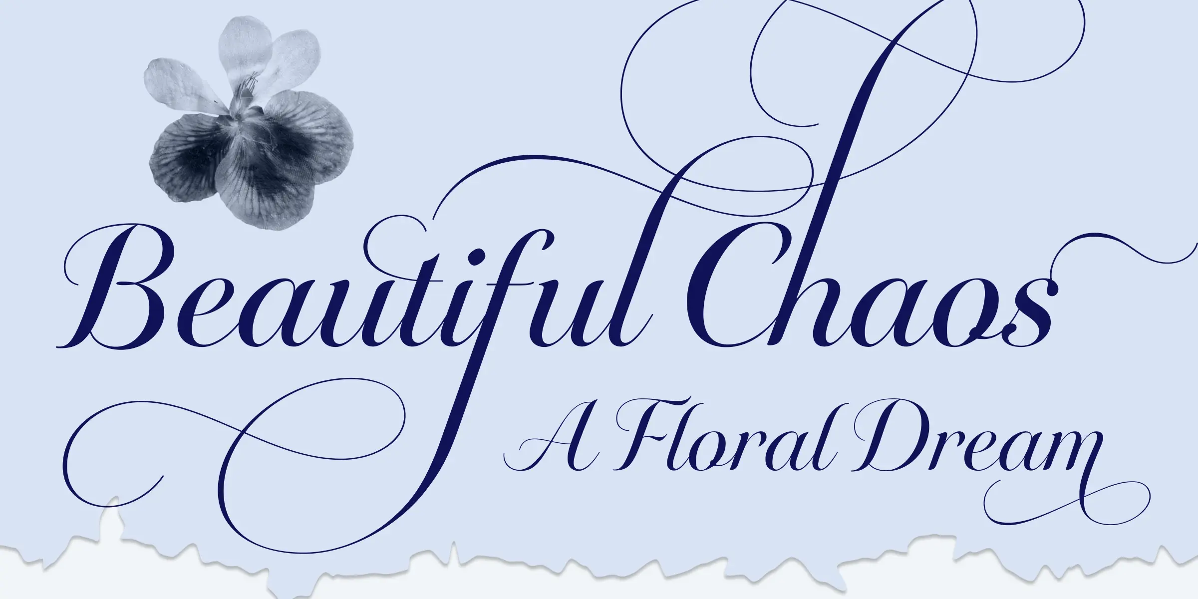 Novantique Script banner